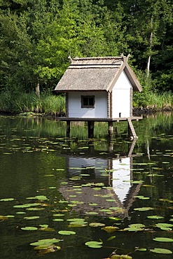 Duck house in a pond, Castle Gardens, Schloss Luebbenau Castle, Luebbenau, Spreewald, Brandenburg, Germany, Europe