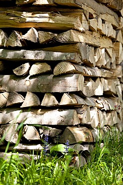 Stack of firewood