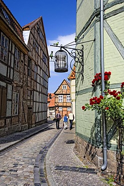 Finkenherd, alley in the historic town center of Quedlinburg, Saxony-Anhalt, Germany, Europe