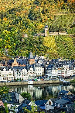 Romantic wine village of Zell on the Moselle River, Rhineland-Palatinate, Germany, Europe