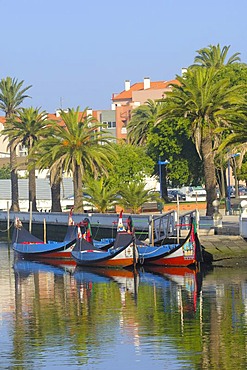 Traditional boats "Moliceiros", Canal central, Aveiro, Beiras region, Portugal, Europe