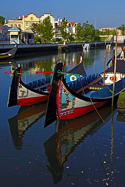 Traditional boats "Moliceiros", Canal central, Aveiro, Beiras region, Portugal, Europe