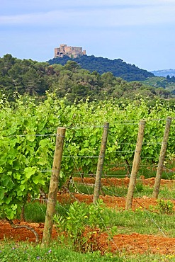 Beauregard Castle near Narbonne, Cathar country, Aude, Languedoc-Roussillon, France, Europe