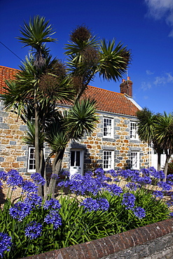 Typical Guernsey house made from solid stone and granite, with many flowers and plants, Guernsey, Channel Islands, Europe