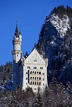 Neuschwanstein Castle in winter, Bavaria, Germany, Europe