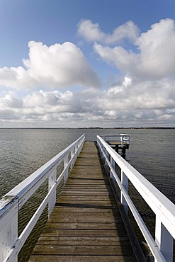 Wooden jetty with white railings jutting into a lake, bodden landscape near Wiek am Darss, Fischland-Darss-Zingst, Mecklenburg-Western Pomerania, Germany, Europe