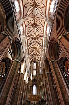 Gothic Basilica of St. Nicolai, look into the starry vault, old town, Lueneburg, Lower Saxony, Germany, Europe