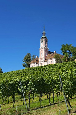 Wallfahrtskirche Birnau Marian pilgrimage church, Birnau, Lake Constance, Baden-Wuerttemberg, Germany, Europe