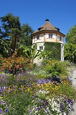 Mainau flowering island, Lake Constance, Baden-Wuerttemberg, Germany, Europe