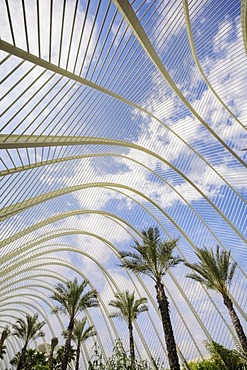 L'Umbracle palm garden, Ciudad de las Artes y las Ciencias City of Arts and Sciences, Valencia, Comunidad Valencia, Spain, Europe