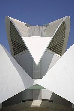 The roof of the Palau de les Arts Reina Sofia opera house, Ciudad de las Artes y las Ciencias City of Arts and Sciences, Valencia, Comunidad Valencia, Spain, Europe