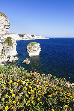 Free-standing rock Grain de Sable on the rocky coast near Bonifacio, Strait of Bonifacio, Corsica, France, Europe