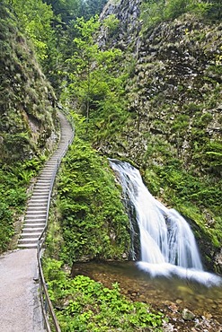 Stairway at the Lierbach waterfalls, Black Forest, Baden-Wuerttemberg, Germany, Europe