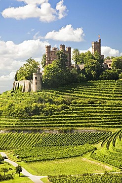 Ortenberg Castle, near Offenburg, Black Forest, Baden-Wuerttemberg, Germany, Europe