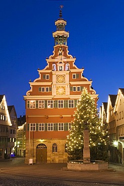 Old town hall with halft-timbered houses at Christmas time, Esslingen am Neckar, Baden-Wuerttemberg, Germany, Europe