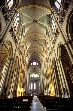 Cathedral Saint Jean, Lyon, Rhone-Alpes, France, Europe