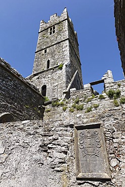 Ross Abbey near Headford, County Galway, Connacht, Republic of Ireland, Europe