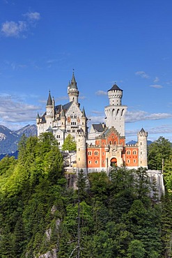 View from the east, Schloss Neuschwanstein Castle, Ostallgaeu, Allgaeu, Schwaben, Bavaria, Germany, Europe