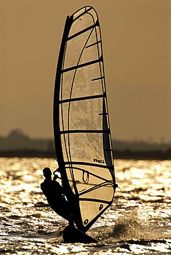 Windsurfer in backlight near the Santa Pola resort, Mediterranean coast, Spain, Europe