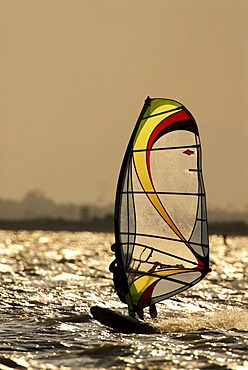 Windsurfer in backlight near the Santa Pola resort, Mediterranean coast, Spain, Europe