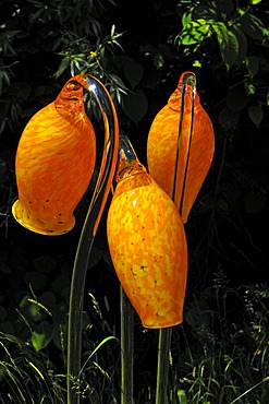 Glass objects by Peter Kaspar at the State Garden Show 2010, Schonfeld Strasse 17, Rosenheim, Upper Bavaria, Bavaria, Germany, Europe