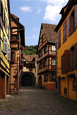 Cobblestone alleyway with old wooden houses, 19 Impasse du Pere Staub, Kaysersberg, Alsace, France, Europe