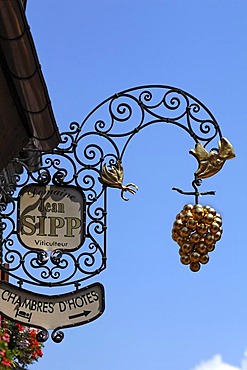 Hotel sign with golden grapes, Grand'Rue 104, Ribeauville, Alsace, France, Europe