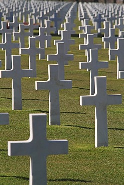 Graves at the Normandy American Cemetery and Memorial above Omaha Beach, site of the landing of the Allied invasion forces on D-Day 6 June 1944, Second World War, Calvados, Region Basse-Normandie, Normandy, France, Europe