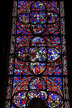 Stained glass windows, Saint Gatien's Cathedral, Tours, Departement Inde-et-Loire, Region Centre, France, Europe