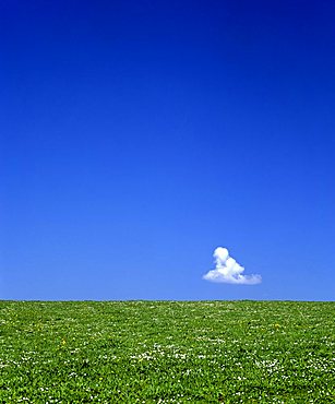 Single cumulus cloud over summer meadow, blue sky