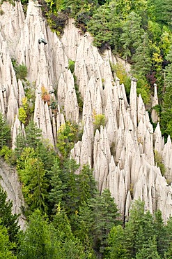 Earth pyramids, Ritten, Bolzano, Alto Adige, Italy, Europe