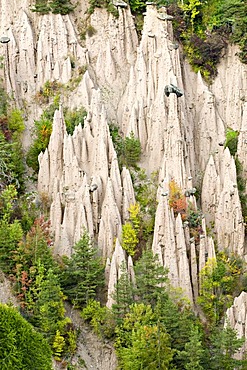 Earth pyramids, Ritten, Bolzano, Alto Adige, Italy, Europe