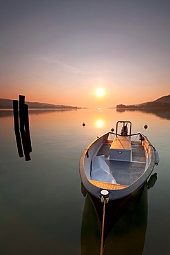 Lake Constance in the early morning and a boat, Steckborn, Switzerland, Europe