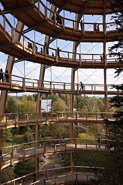 Tree-top walk, Neuschoenau, Bavarian Forest National Park, Lower Bavaria, Bavaria, Germany, Europe