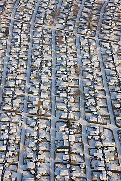 Aerial view, camping ground, winter camping, Carthusian Grav-Insel island, Wesel, North Rhine-Westphalia, Germany, Europe