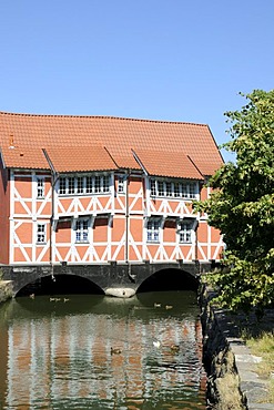 Half-timbered house, Wismar, Mecklenburg-Western Pomerania, Germany, Europe