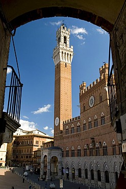 Palazzo Pubblico un Torre del Mangia on Piazza del Campo, Siena, Unesco World Heritage Site, Tuscany, Italy, Europe