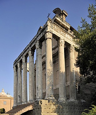 Temple of Antoninus Pius and Faustina in the Roman Forum, Rome, Italy, Europe