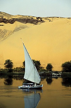 Felucca on the river Nile in front of the Sahara Desert near Aswan, Egypt, North Africa, Africa