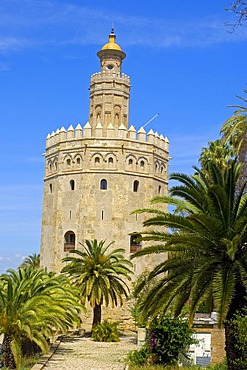 Torre del Oro, Sevilla, Andalusia, Spain, Europe