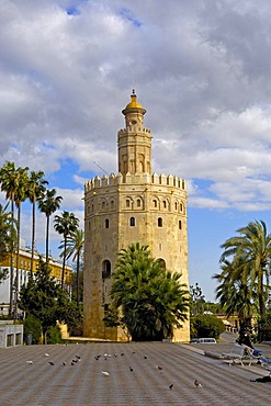 Torre del Oro, Sevilla, Andalusia, Spain, Europe