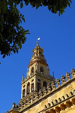 Minaret tower of the Great Mosque, Cordoba, Andalusia, Spain, Europe