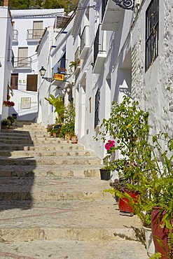 Frigiliana, Axarquia mountains region, Malaga province, Costa del Sol, Andalusia, Spain, Europe