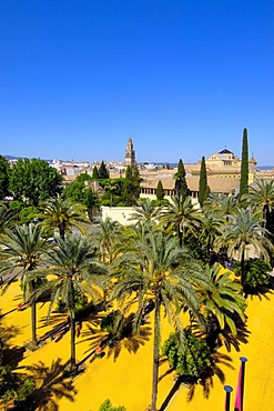 Alcazar de los Reyes Cristianos, Alcazar of Catholic Kings and minaret tower of the Great Mosque, Cordoba, Andalusia, Spain, Europe