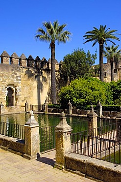 The gardens of Alcazar de los Reyes Cristianos, Alcazar of Catholic Kings, Cordoba, Andalusia, Spain, Europe