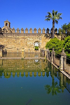 The gardens of Alcazar de los Reyes Cristianos, Alcazar of Catholic Kings, Cordoba, Andalusia, Spain, Europe