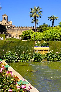 The gardens of Alcazar de los Reyes Cristianos, Alcazar of Catholic Kings, Cordoba, Andalusia, Spain, Europe