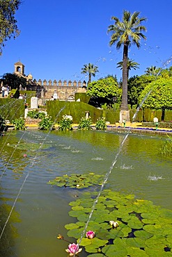 The gardens of Alcazar de los Reyes Cristianos, Alcazar of Catholic Kings, Cordoba, Andalusia, Spain, Europe