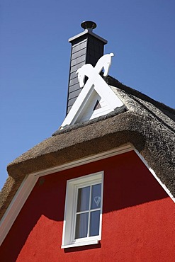 Gable of a summer cottage, near Mukran, thatched cottage, northeast of the Ruegen island, Mecklenburg-Western Pomerania, Germany, Europe