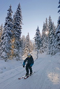 Skier in the forest, Austria, Europe